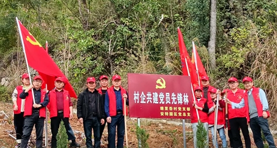 村企共建，，，，共植先锋林